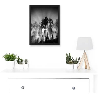 Artery8 - Trees Light Fog - Black White - Wall Art Print Artery8 - Trees Light Fog - Black White - Wall Art Print
