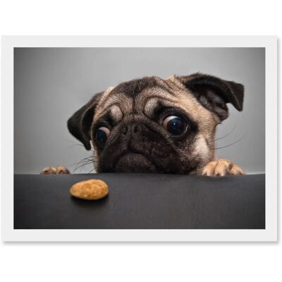 Artery8 - Pug Dog Eyes A4 - Framed - White - Wall Art Print Artery8 - Pug Dog Eyes A4 - Framed - White - Wall Art Print