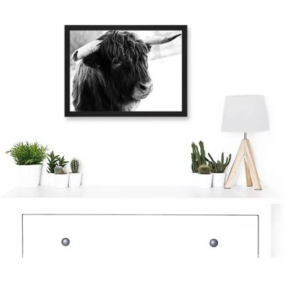 Artery8 - Highland Cow Photo A4 - Horns - Black - Art Print Artery8 - Highland Cow Photo A4 - Horns - Black - Art Print