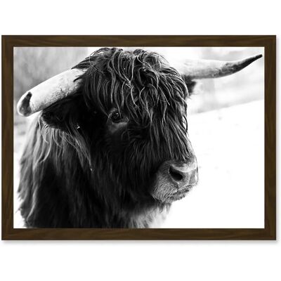 Artery8 - Highland Cow Bull Horns - Framed - Wall Art Artery8 - Highland Cow Bull Horns - Framed - Wall Art