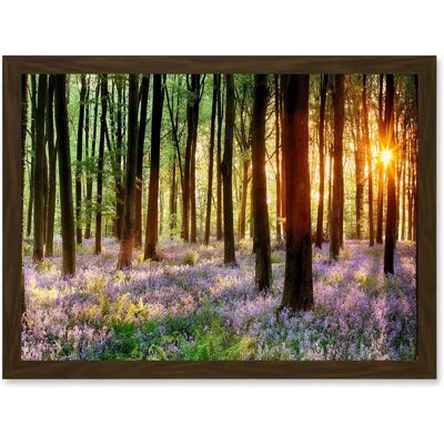 Artery8 - Bluebell Wood Sunrise Trees Photo A4 Artery8 - Bluebell Wood Sunrise Trees Photo A4