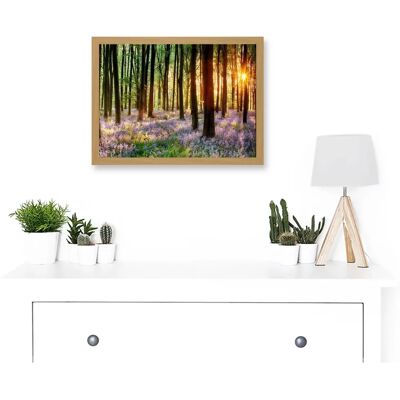 Artery8 Bluebell Wood Sunrise Trees Photo A4 - Light Oak - Framed Wall Art Artery8 Bluebell Wood Sunrise Trees Photo A4 - Light Oak - Framed Wall Art