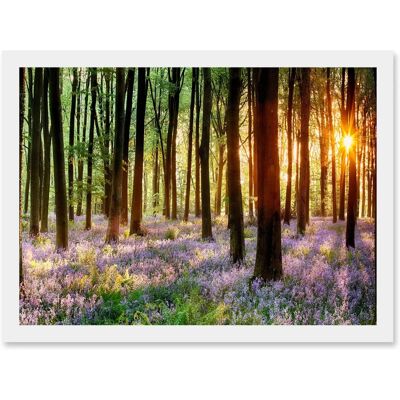 Artery8 - Bluebell Wood Sunrise Trees Photo - A4 Artery8 - Bluebell Wood Sunrise Trees Photo - A4