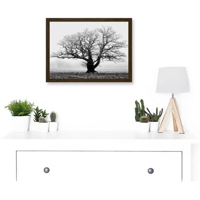Artery8 - Old Oak Tree - Black White - Wall Art Print Artery8 - Old Oak Tree - Black White - Wall Art Print