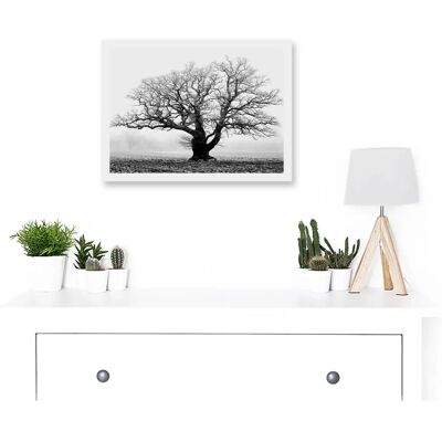 Artery8 - Old Oak Tree - Black White - Wall Art Print Artery8 - Old Oak Tree - Black White - Wall Art Print