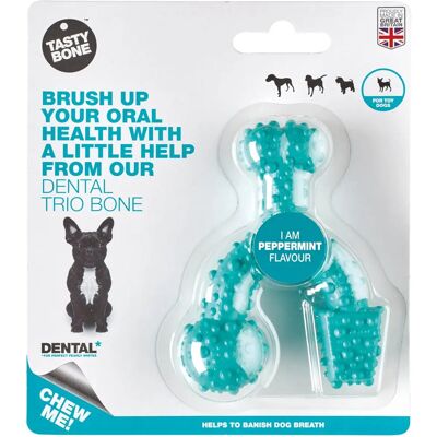 TASTY BONE Peppermint Nylon Dog Chew - Dog Chew Toy TASTY BONE Peppermint Nylon Dog Chew - Dog Chew Toy