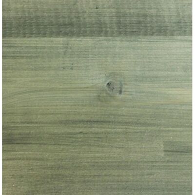 Protek - Shed & Fence Wood Stain - Light Green - Wood stain Protek - Shed & Fence Wood Stain - Light Green - Wood stain