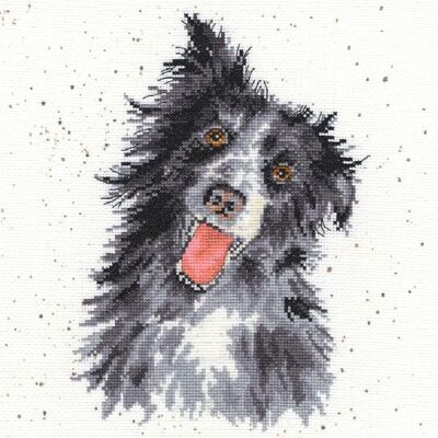 Bothy Threads Collie Cross Stitch Kit - Cross Stitch Kit Bothy Threads Collie Cross Stitch Kit - Cross Stitch Kit
