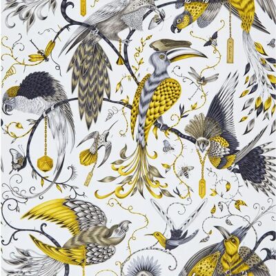 Clarke & Clarke Audubon Tapete Dschungelvögel Gelb Grau Weiß Clarke & Clarke Audubon Tapete Dschungelvögel Gelb Grau Weiß