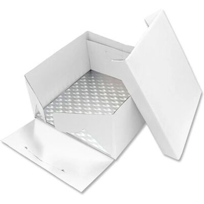 Conteneur à gâteaux carré PME BCS876 - Type de gâteau Conteneur à gâteaux carré PME BCS876 - Type de gâteau