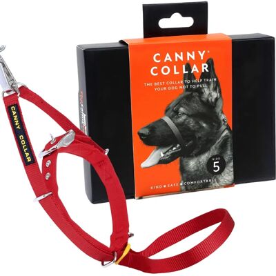 Röd Canny Storlek 5 Hundhalsband - Träningshalsband för medelstora till stora hundar Röd Canny Storlek 5 Hundhalsband - Träningshalsband för medelstora till stora hundar