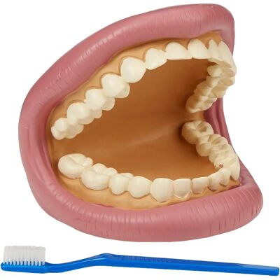 Tickit Blue Giant Teeth Demonstration Model - Demonstration Model Tickit Blue Giant Teeth Demonstration Model - Demonstration Model
