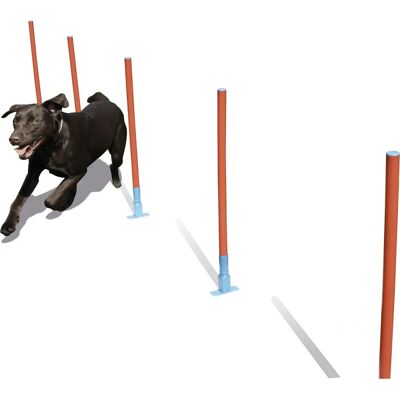 Rosewood Agility Slalom - Dog agility course with 5 poles Rosewood Agility Slalom - Dog agility course with 5 poles