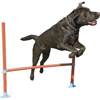 Rosewood Dog Agility Hurdle - Adjustable Outdoor Dog Training Equipment Rosewood Dog Agility Hurdle - Adjustable Outdoor Dog Training Equipment