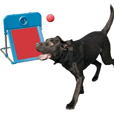 Rosewood Flyball-Box für Hunde - Hund-Agility-Gerät Rosewood Flyball-Box für Hunde - Hund-Agility-Gerät