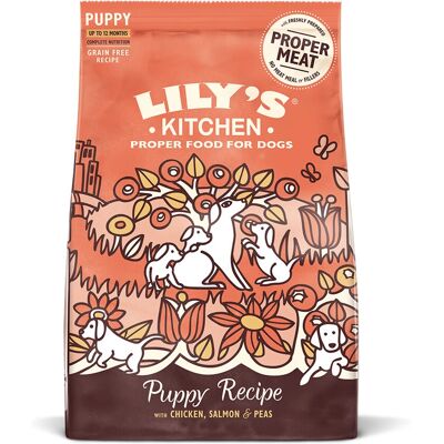 Lily's Kitchen Compleet voer voor puppy's met kip en zalm (1 kg) Lily's Kitchen Compleet voer voor puppy's met kip en zalm (1 kg)