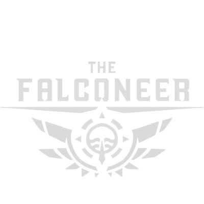The Falconeer - Édition Guerrier (PS4) - Publicité The Falconeer - Édition Guerrier (PS4) - Publicité