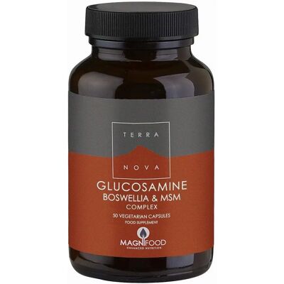 Terra Nova Glucosamina Boswellia MSM Supporto articolazioni - 50 Vegicaps Terra Nova Glucosamina Boswellia MSM Supporto articolazioni - 50 Vegicaps