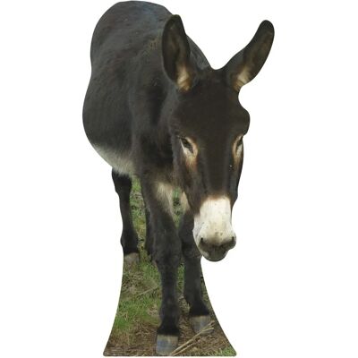Iconicgreats - Donkey - 122cm - Carton - Standee - Publicité Iconicgreats - Donkey - 122cm - Carton - Standee - Publicité