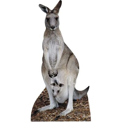 Iconicgreats Kangaroo & Joey Lifesize Cardboard Cutout Fun Figure 195cm Tall - For Your Party Iconicgreats Kangaroo & Joey Lifesize Cardboard Cutout Fun Figure 195cm Tall - For Your Party