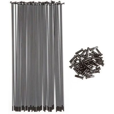 Rayons en Acier Inoxydable BSD 184 mm - Pack de 40 Nipples Noirs - Publicité Rayons en Acier Inoxydable BSD 184 mm - Pack de 40 Nipples Noirs - Publicité