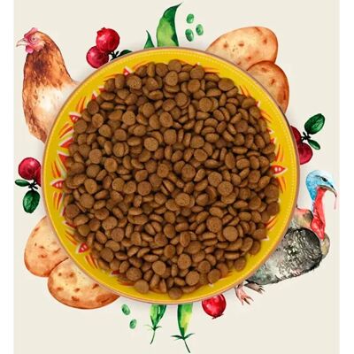 Eden Feline Feast Karma dla kotów z indykiem i kurczakiem - 1,5kg Eden Feline Feast Karma dla kotów z indykiem i kurczakiem - 1,5kg