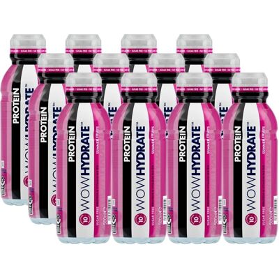 Wow Toys Hydrate Protein Summer Fruits Sport Drink - 12x500ml Wow Toys Hydrate Protein Summer Fruits Sport Drink - 12x500ml