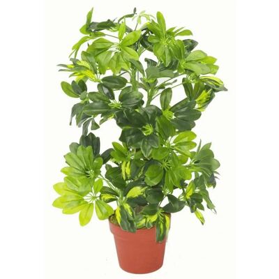 Leaf Design UK Limited 75cm Artificial Arboricola Gold Capella - Realistic Fake Plant Leaf Design UK Limited 75cm Artificial Arboricola Gold Capella - Realistic Fake Plant