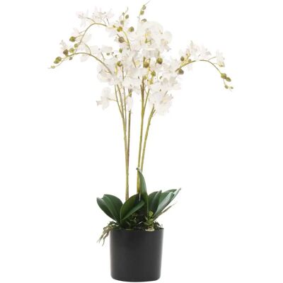 Leaf White Artificial Orchid - Triple Stem - Indoor - 60cm Leaf White Artificial Orchid - Triple Stem - Indoor - 60cm