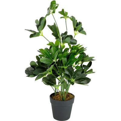 Leaf Design UK Limited 55cm Kunstmatige Dwerg Schefflera - Realistische Nep Plant Leaf Design UK Limited 55cm Kunstmatige Dwerg Schefflera - Realistische Nep Plant