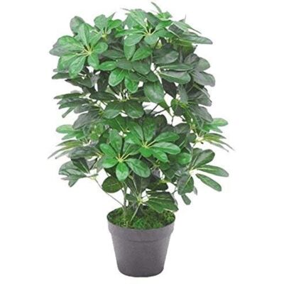 Blad Schefflera Arboricola Kunstväxt - Mörkgrön - 55cm Blad Schefflera Arboricola Kunstväxt - Mörkgrön - 55cm