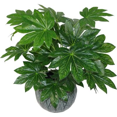 Leaf Design UK Limited 60cm Kunstmatige Japanse Aralia Plant - Kunstplant Leaf Design UK Limited 60cm Kunstmatige Japanse Aralia Plant - Kunstplant