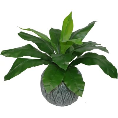 Leaf 50cm Bushy Artificial Bird's Nest Fern Plant - Artificial Fern Plant Leaf 50cm Bushy Artificial Bird's Nest Fern Plant - Artificial Fern Plant