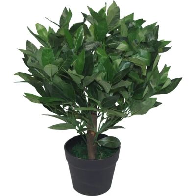Kunstig laurbærträd 50cm - Topiary buske Kunstig laurbærträd 50cm - Topiary buske
