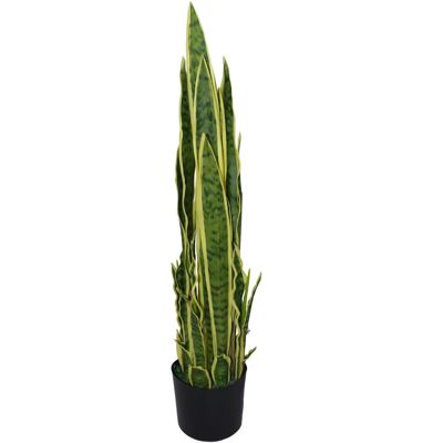 Generic - Sansevieria Leaf 90cm - Yellow Green - Plant Generic - Sansevieria Leaf 90cm - Yellow Green - Plant