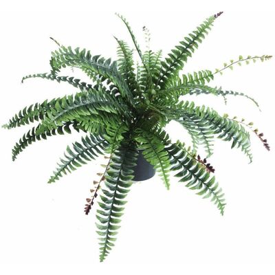 Leaf Design UK Kunstmatige Boston varen - 60cm Zwart - Kunstmatige Plant Leaf Design UK Kunstmatige Boston varen - 60cm Zwart - Kunstmatige Plant
