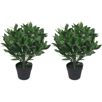 UK Künstliche Lorbeerbäume, 50 cm, Paar UK Künstliche Lorbeerbäume, 50 cm, Paar