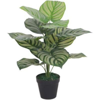 Leaf Design UK 60cm Artificial Green Stripe Leaf Plant - Artificial Plant Leaf Design UK 60cm Artificial Green Stripe Leaf Plant - Artificial Plant