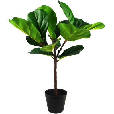 Leaf Fiddle Fig Artificial Plant - 70cm, Plastic Pot, Green Leaf Fiddle Fig Artificial Plant - 70cm, Plastic Pot, Green