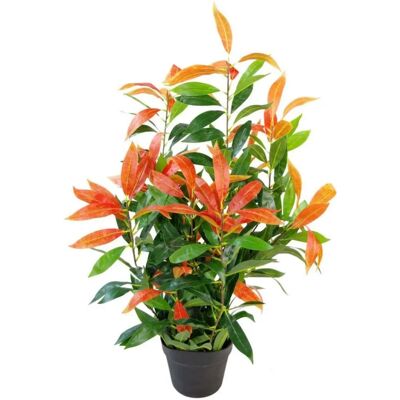 Leaf Design UK 80cm Red Robin Artificial Tree - Realistic Ficus, Shaped Stems Leaf Design UK 80cm Red Robin Artificial Tree - Realistic Ficus, Shaped Stems