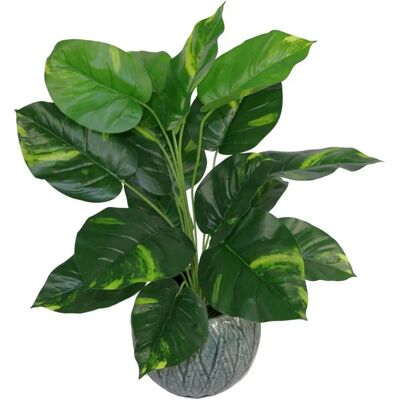 Leaf Design UK Artificial Foliage Plant - 60cm, Realistic, Variegated Leaf Design UK Artificial Foliage Plant - 60cm, Realistic, Variegated
