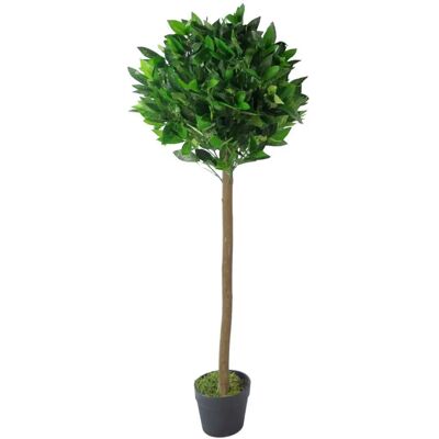 Leaf Design UK - Bay Laurel Topiary Ball Tree - 120cm - Topiary Tree Leaf Design UK - Bay Laurel Topiary Ball Tree - 120cm - Topiary Tree