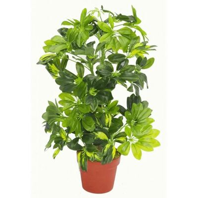 Leaf Design UK Artificial Plant - 75cm Golden Capella - Green Leaf Design UK Artificial Plant - 75cm Golden Capella - Green