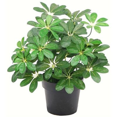 Leaf 55cm Dark Green Artificial Schefflera Arboricola Plant - Artificial Plant Leaf 55cm Dark Green Artificial Schefflera Arboricola Plant - Artificial Plant