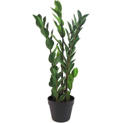 Leaf Design UK Zanzibar Green Gem 75cm Indoor Plant - Indoor Plant Leaf Design UK Zanzibar Green Gem 75cm Indoor Plant - Indoor Plant