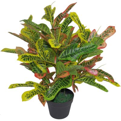 Leaf Design UK Artificial Codiaeum Multicoloured House Plant - House Plant Leaf Design UK Artificial Codiaeum Multicoloured House Plant - House Plant