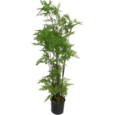 Leaf Design UK - Fern - 150cm - Moss Base - Artificial plant Leaf Design UK - Fern - 150cm - Moss Base - Artificial plant