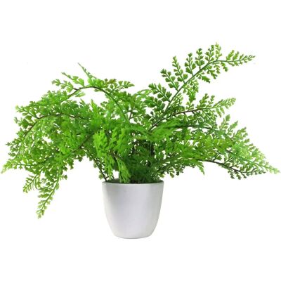 Leaf 30cm Artificial Potted Royal Fern - Artificial Fern Plant Leaf 30cm Artificial Potted Royal Fern - Artificial Fern Plant