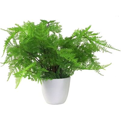 Leaf 30cm Artificial Potted Lady Fern - Artificial Fern Plant Leaf 30cm Artificial Potted Lady Fern - Artificial Fern Plant