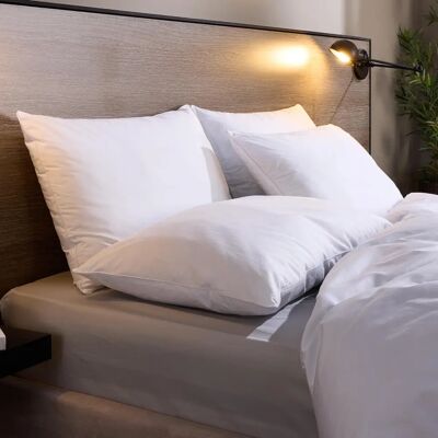 Snuggledown UK Medium Support Cotton Pillows 4 Pack - Pillow Snuggledown UK Medium Support Cotton Pillows 4 Pack - Pillow